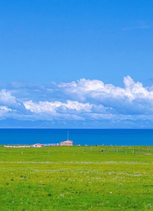 《坚不可摧的服务器：如何打造真正抗攻击的数字堡垒》